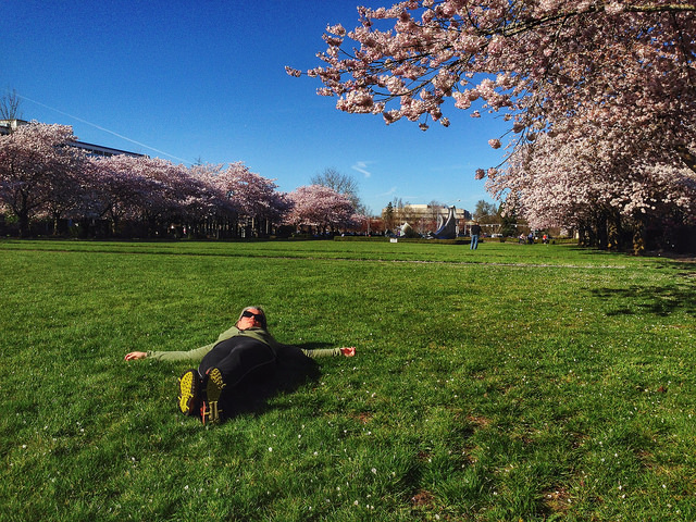 16814323591_13aa585a90_z