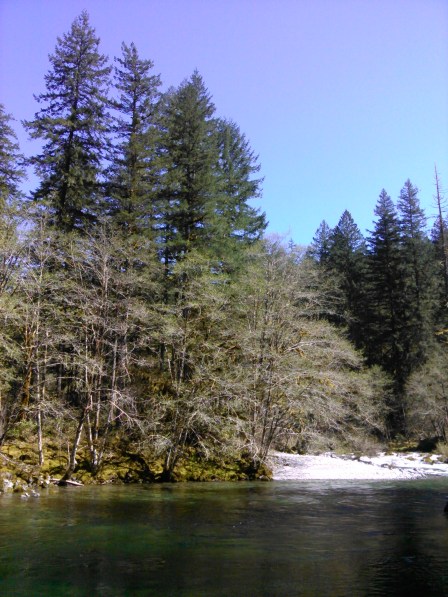 IMG_20150418_134049_381 (1)