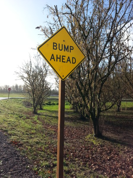 bump ahead sign