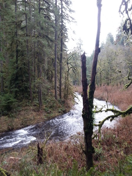 Silver Creek Falls